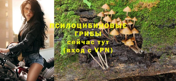 мяу мяу мука Алексин