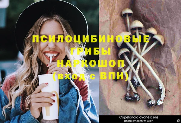 мяу мяу мука Алексин