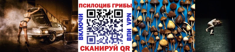 купить наркотики сайты  Данков  Галлюциногенные грибы MAGIC MUSHROOMS 